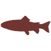 Fischsymbol